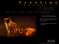 treelinedanceworks.com