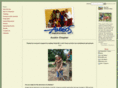 austinamigos.org