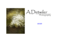 detwiler-photography.com