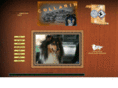 rough-collie-collarin.net