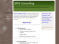 bnsconsulting.net