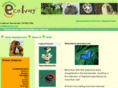 ecoivory.com