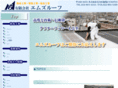 ms-roof.com