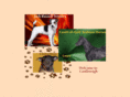 castlereighkennels.net