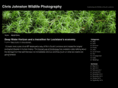 chrisjohnstonphotography.com