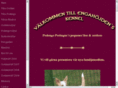 engahojdens.com