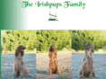 irishpups.net