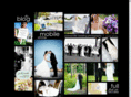 jacksonvilleweddingphotography.com