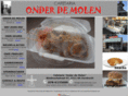 onderdemolen.com