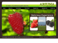 arjunaberries.com