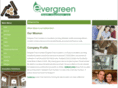 evergreenfoamtx.com