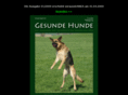 gesundehundemagazin.com