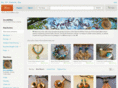 seventhwillow.com