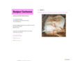 bonjourcochonne.com