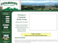 catamountrealtygroup.com