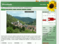 mendibide.com