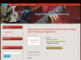 beginnerelectricguitars.org