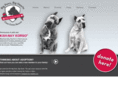 bigpawsbigheartsrescue.com
