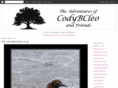 codybcleo.com