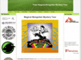 mmt2010.org