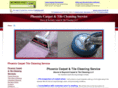 phoenixcarpetandtilecleaning.com