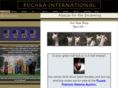 pucara-alpacas.com