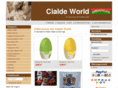 cialde-world.com