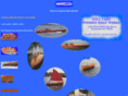 gulllakewoodenboats.com