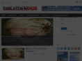panicattackshub.com