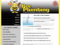 bee-plumbing.com