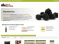 blackberries.net
