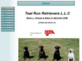 tealrunretrievers.com