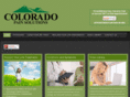 coloradopainsolutions.com