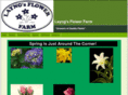 layngsflowerfarm.com