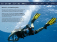 goscubadivingmaui.com