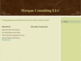 morganconsulting.biz