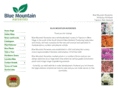 bluemountainnurseries.com