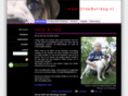 darlingbulls.nl