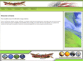 enerexllc.com