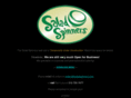 saladspinners.com
