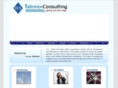 telinno-consulting.com