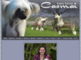 casmai.com