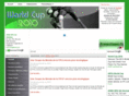 foot-world-cup-2010.com