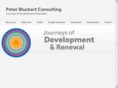peterbluckertconsulting.com