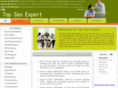 topseoexpert.net
