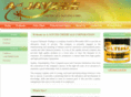 ajayceechemicals.com