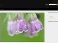 cocobox.net