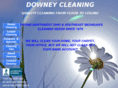 downeycleaning.com