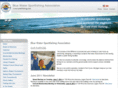 bluewatersportfishing.net
