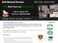 moldremovalparamus.com